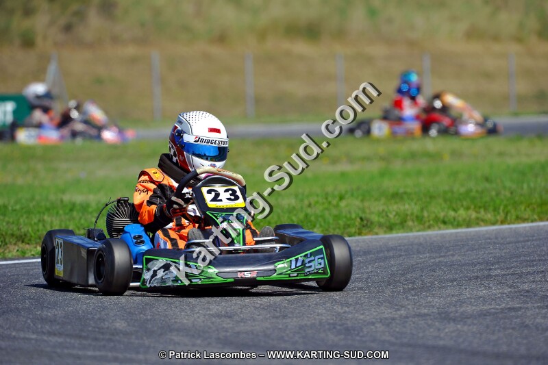 DSC_ (1349).jpg